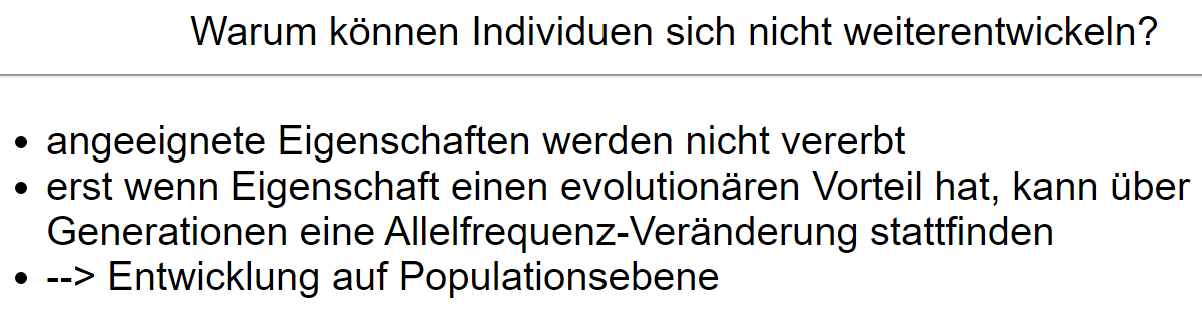 Molekulare Genetik Und Zellbiologie Mindcards